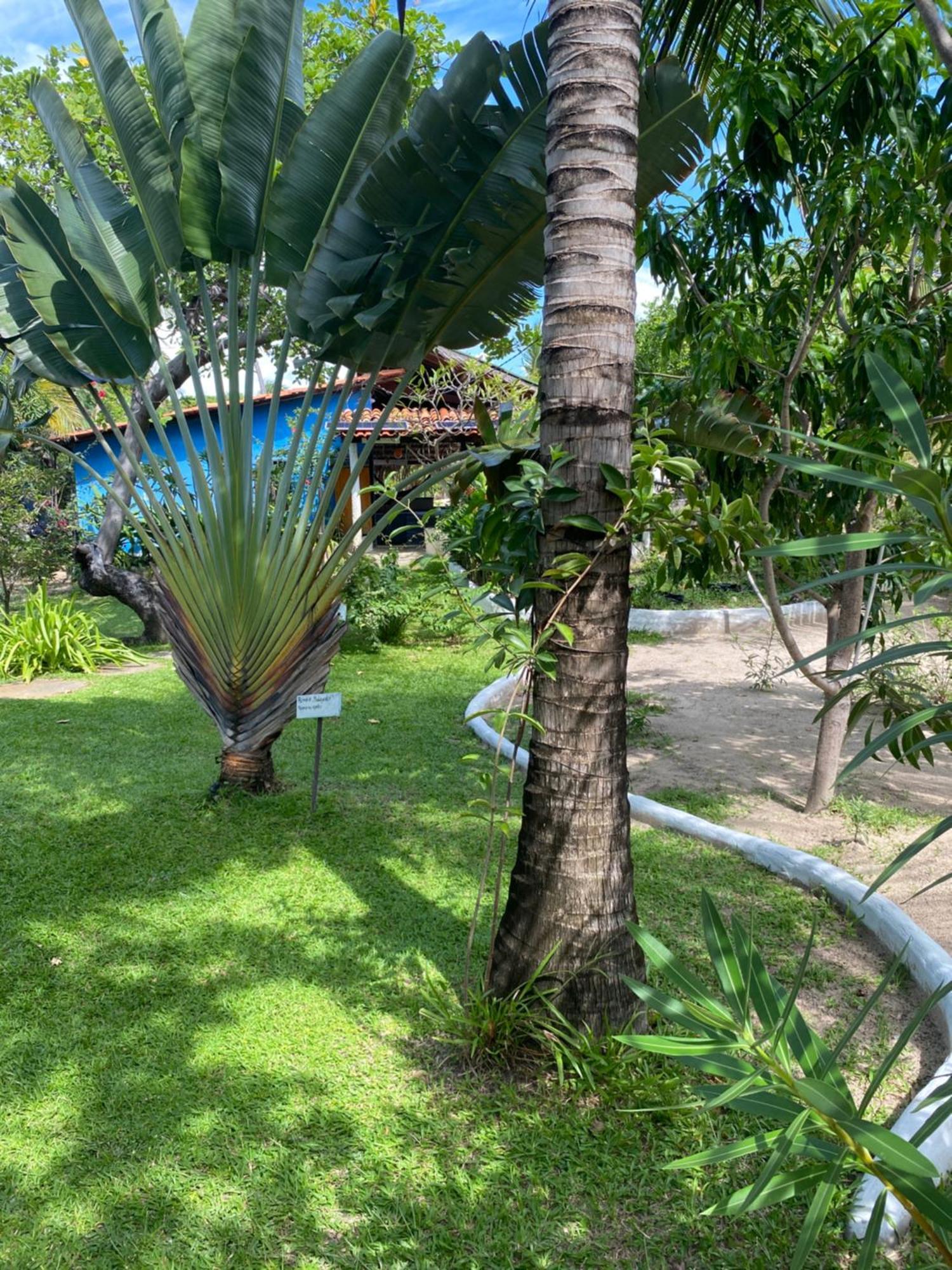 Hotel Casa Acquamarina Atins Exteriér fotografie