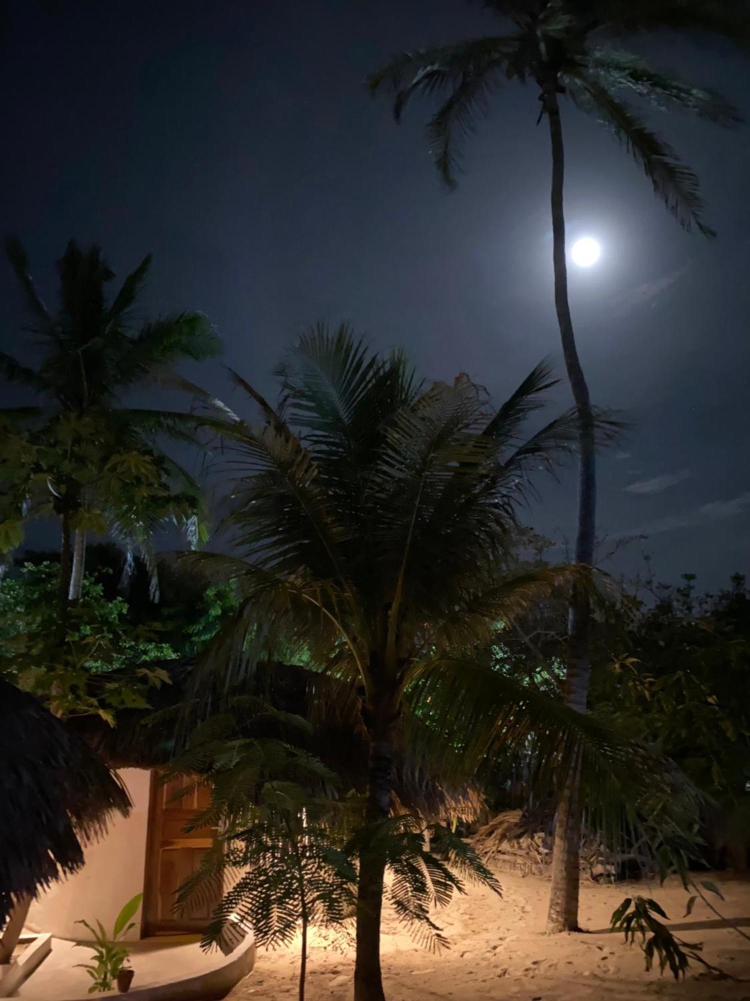 Hotel Casa Acquamarina Atins Exteriér fotografie